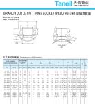 1/4''--4.0'' Stainless Steel 316L ASTM A105 Class 3000 Carbon Steel Pipe Fitting