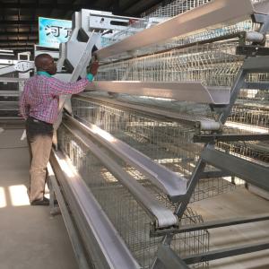 Quality Hot Galvanized Automatic A-type H-type Poultry Cage For Bathroom In Laying Hens Farm wholesale