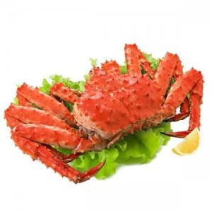 Quality Import Purchasing And Logistics , Global Logistics Services South America wholesale