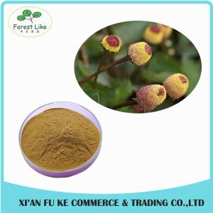 Quality GMP Manufacturer Supplying High Quality Healthy for Hair Spilanthol 10:1 Acmella Oleracea Flower Extract wholesale