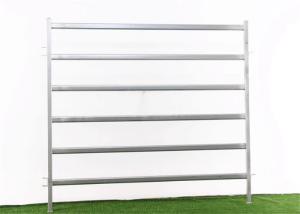 Quality Australian Standard Steel Pipe Cattle Yard Panels 1.8 * 2.1 M For Livestock wholesale