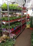Dutch Trolley Greenhouse Carts