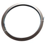 Tophet 30 Nikrothal 70 NiCr7030 Nichrome Alloy Nickel Alloy Heating Strip