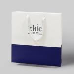 Biodegradable Kraft Paper Bags With Handles Exquisite Gift Retail Shopping Bags