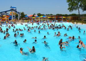 Quality PLC Automatic Control Surf Wave Machine For Outdoor Big Pool Beach Area &gt;800 sq.M wholesale