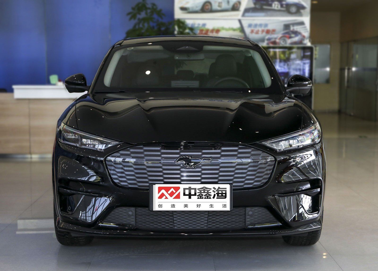 China Ebu Light Luxury 4 Wheeler Electric Vehicle Ford Electric Horse 2021 Borderless Rear Drive Deluxe Edition (Long Range)