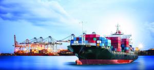 Quality China To Brisbane Australia DDP Door To Door Sea Shipping wholesale