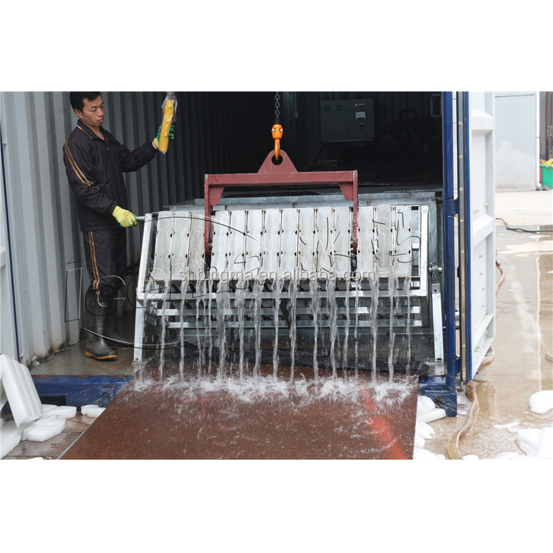 Emerson 3 Ton Directly Cooling ICEMA Containerized Block Ice Plant
