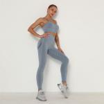 Seamless Yoga Workout Clothes Compression 2 Piece Set Hip Lifting Leggings Crop