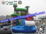 Bounce House Charming Inflatable Slide , Kids Inflatable Water Slides Pool