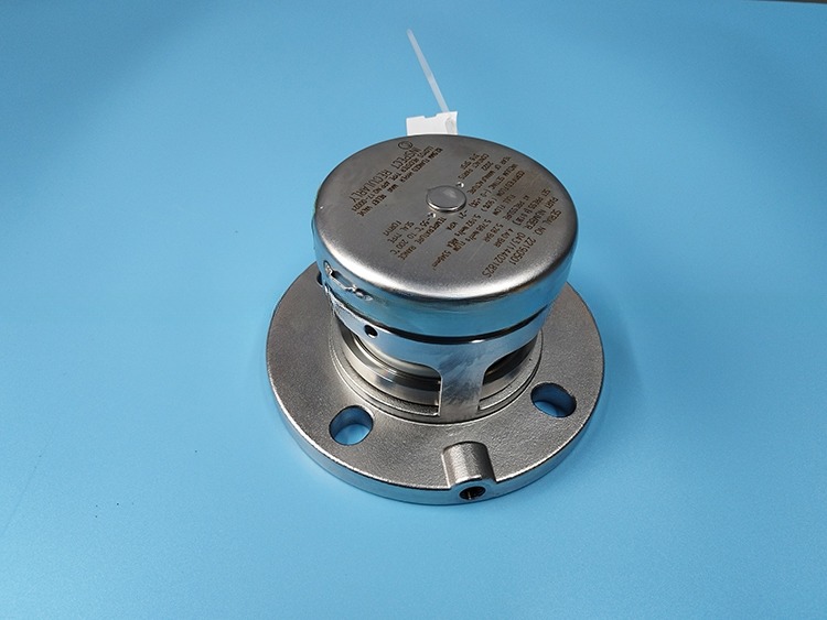 Stainless Steel Pressure Safety Relief Valve for ISO Tank Container Parts BSP or Flanged