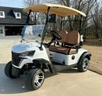 New Designed 2 Seat Electric Golf Cart 4KW Four Wheeler Durable Electric Golf