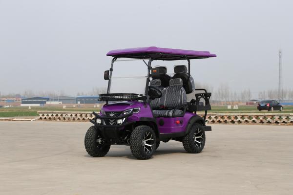 2+2-Seater Luxury Green Electric Golf Cart 14-Inch Off-Road Tires Suitable For