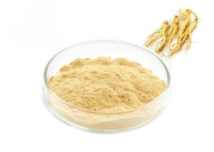 Quality Food Grade Panaxoside Ginseng Extract Powder For Health Products wholesale