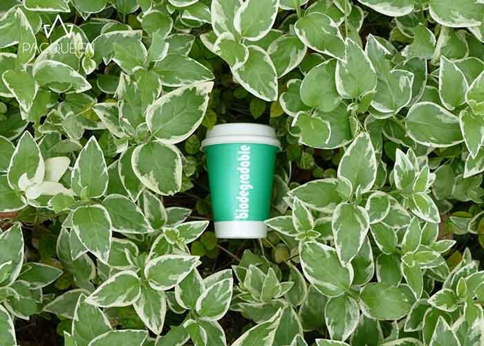 Small Volume 4 Oz Disposable Paper Takeaway Cups White / Natural Color