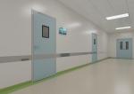 50mm Handmade Plate Stainless Steel Clean Room Doors Custom