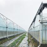 Customizable Temperature-Controlled Greenhouse for Large-Scale Plant Cultivation