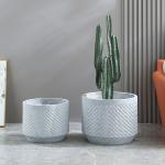 Stunning Plant Display With Fiber Clay Planters Durable And Stylish