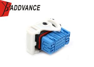 Quality 27 Way PA66 Blue Female Sealed Waterproof Automotive Connectors For Car wholesale