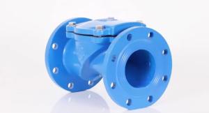 Quality Dn50 - Dn600 Industrial Control Valves , Odm Ss Check Valve wholesale