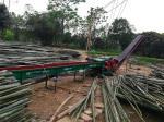 Eucalyptus Wood Chipper, Wood Chips Making Machine, Forestry Machinery Small