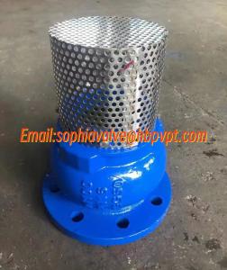 Quality PN16 ductile iron GGG50 foot valve wholesale