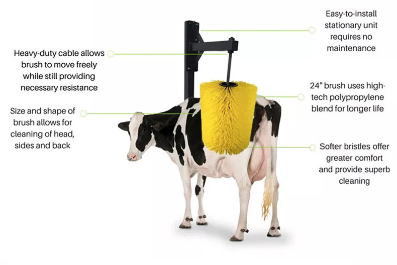 Electric Swinging Cattle Scratching Brush For Back Itching