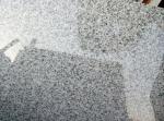 Professional Custom Granite Stone Tiles For Flooring Paving , Tombstone
