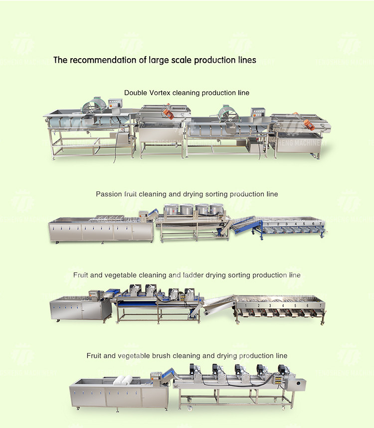 380V 150KG Luffa pumpkin asparagus cucumber lettuce bitter melon slicing machine specifications can be fixed