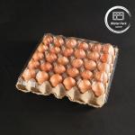 20/24/30 Cell PET Clear Plastic Egg Blister Tray Disposable Quail Chicken Egg