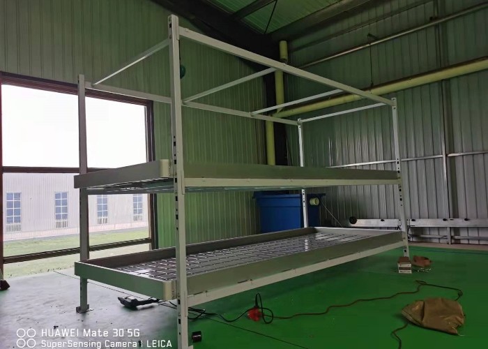 Vegetable Outdoor Indoor Plant Growing Rack 1.22x2.44m Ebb Flood Fixed Table Growing Rack For Medical Plants