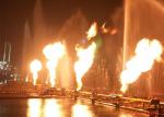 Classic Fire Flaming Water Fountain LNP LPG Fuel Fountain Nozzle Design