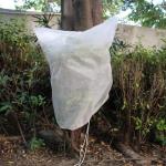 Anti Pull Plant Protection Covers Waterproof , Multipurpose Plant Fleece Bags
