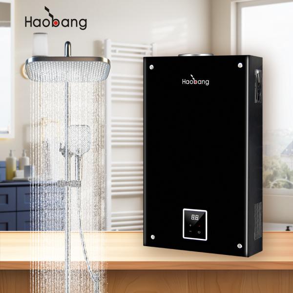 Household Flue Gas Water Heater with Metal Panel and Water Pressure Start 0