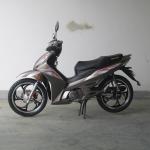 7500RPM CDI Ignition TR135-NF 135CC Cub Motorcycle
