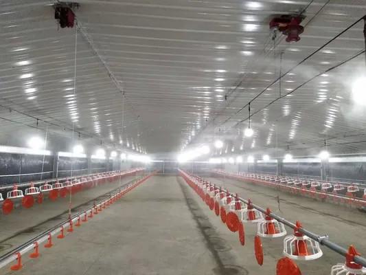 Galvanized Prefabricated Commercial Chicken Houses Fireproof Steel Warehouse