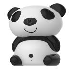 hidden camera toy