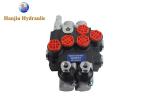China Factory OEM P40 Series Hydraulic Valve Cylinder And Motor Spool 2 Banks