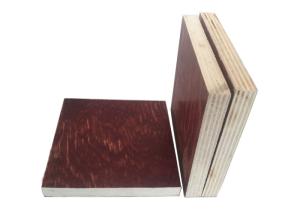 Quality First Class Pine Faced Plywood E1 Formaldehyde Emission Standards 915mm*1830mm wholesale