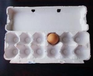 Quality Good Quality Small Waste Paper Pulp Moulding Egg Tray Making Machine Price wholesale
