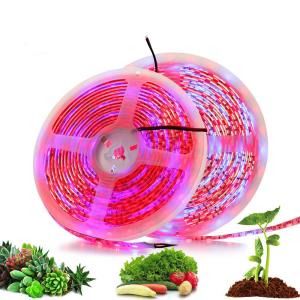 Quality DC12V DIY Red Blue 3:1 4:1 5:1 Led Mood Light 12V Grow Light Strips For Plants wholesale