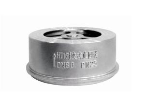 China Full Bore 201/304 Stainless Steel Pair Clip Lift Check Valve for Water Pump Hard Sealed on sale