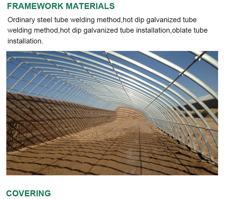 Hydroponic Greenhouse System for High Strength Solar Greenhouse and Vegetable Flower