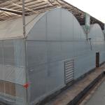 Hydroponic Growing System Multi Span Greenhouse Plastic Film Shading Net