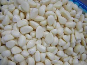 Quality Salted galic wholesale