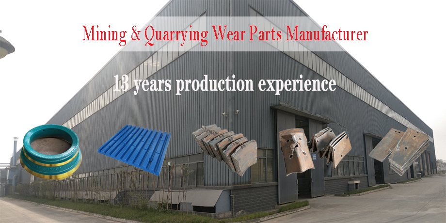 crusher spares