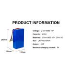 18650 48v 20ah Rechargeable Li Ion Battery Pack Horizontal Axis Type