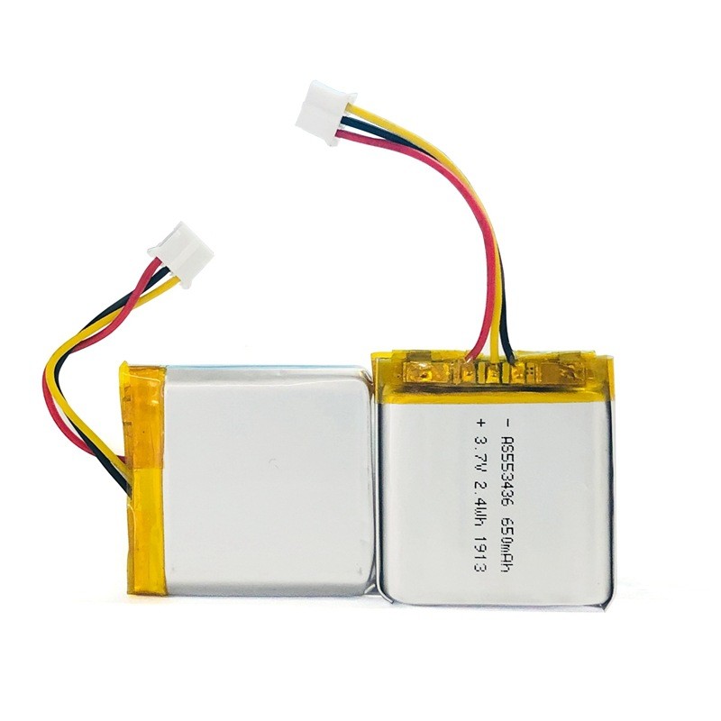 1C Rate 650mAh 3.7 V Lithium Battery Pack For Portable Source