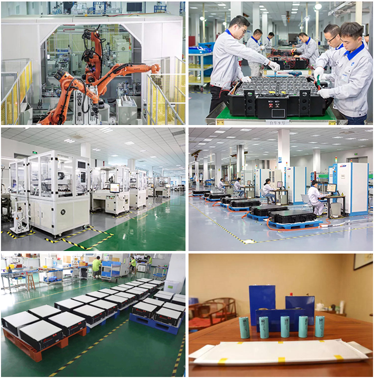Energy Storage Solution 48V/51.2V Rack Mounted Lithium Batteries with High Capacity