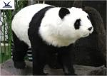 Theme Park Waterproof Life Size Panda Statue Animatronic Animal Model